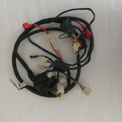 BUMOTO TERRA 100 ELEKTRİK TESİSATI KOMPLE