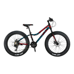 FXC 500 - 20'' MTB - 11'' - 21 Vites - M.DISC - Mat Siyah-Kırmızı/Mavi #KRN21-587