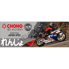 CHOHO ZİNCİR 428 110L #204-106