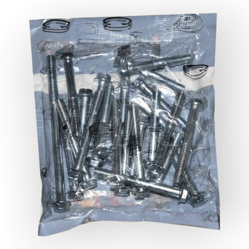 MOTOR MAKİNE VİDA SETİ - CG #FLC10000167