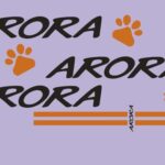 ARORA ANGEL PRO - YAN KAPAK ARMASI (ARORA)