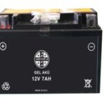 ARORA AR150-A JAGUAR - AKÜ (12V 7AH) DİK
