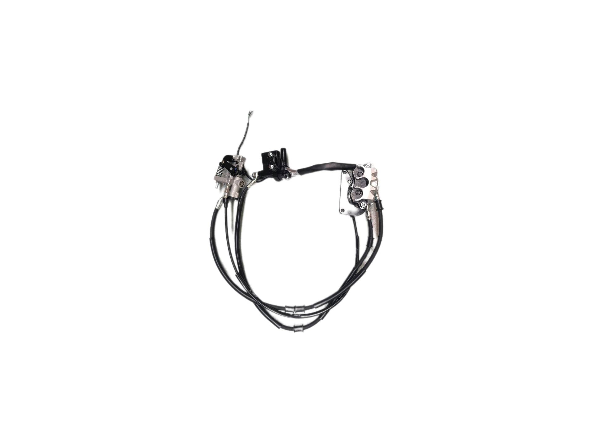 ARORA-BOSS125 - 058-1 ARORA BOSS 125 - ÖN FREN SİSTEMİ - Görsel 1