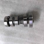 ARORA CP250 - EKSANTRİK MİLİ VE DİŞLİSİ