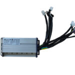 ARORA PANTER 249 - BEYİN 72V.
