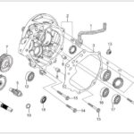 HERO DASH 125 (DSH125E5) RULMAN 6301
