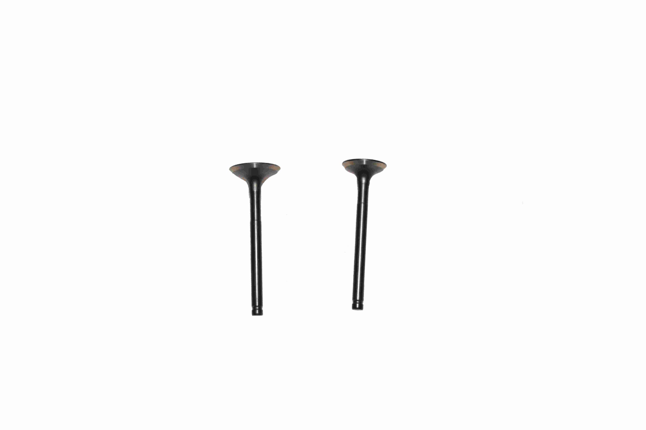 MOTOLUX-AFRİKA-K50123-1 MOTOLUX AFRİKA KING (49 CC) SİBOP TK. - Görsel 1