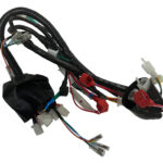 MOTOLUX AFRİKA WOLF (49 CC) ELEKTRİK TESİSATI