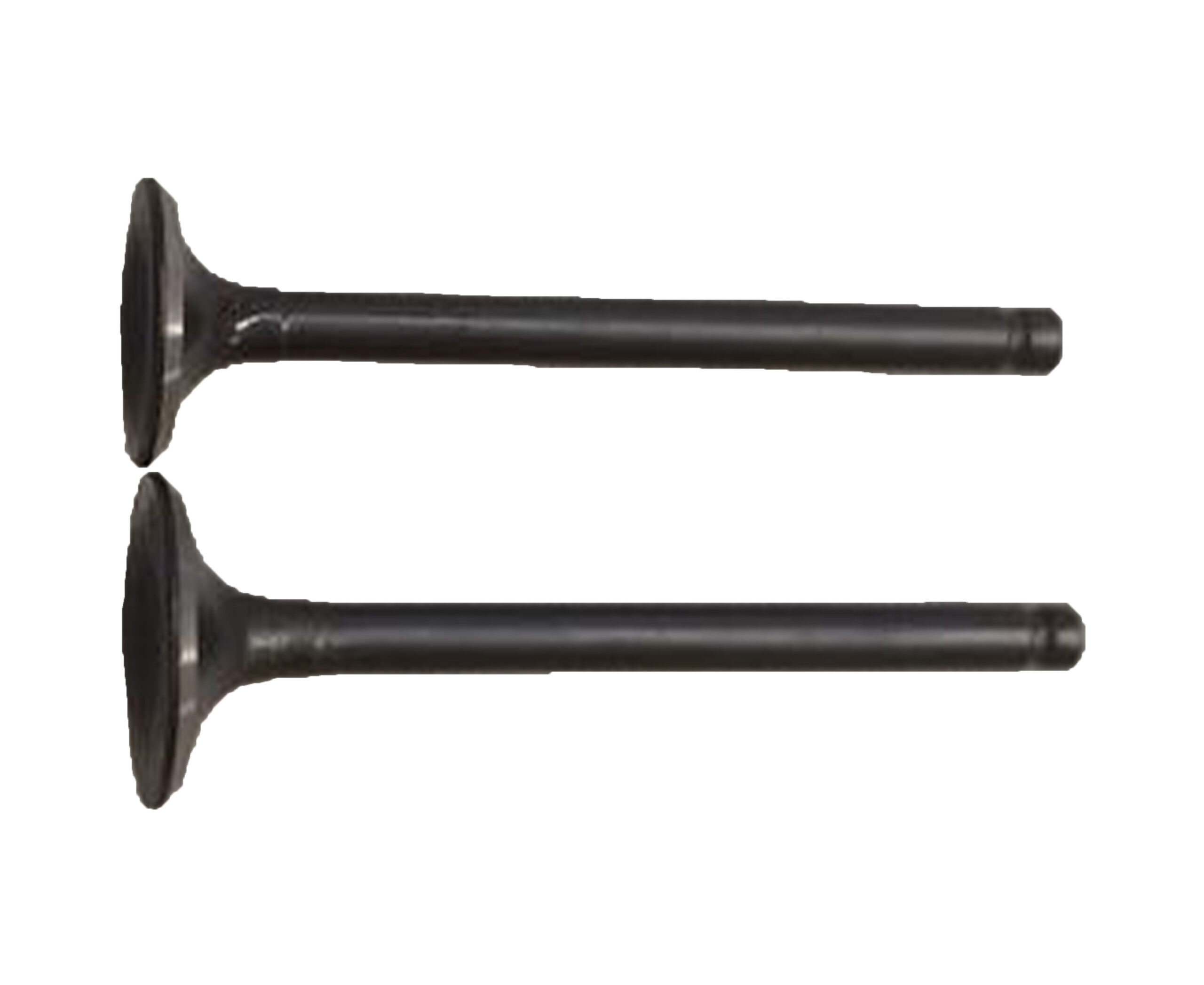 MOTOLUX-AFRİKA-W10127-1 MOTOLUX AFRİKA WOLF (49 CC) SİBOP TAKIMI - Görsel 1