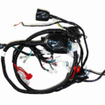 MOTOLUX EFSANE 50 (49 CC) ELEKTRİK TESİSATI
