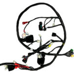 MOTOLUX W46 ( 49CC ) ELEKTRİK ANA TESİSATI