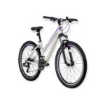 XC 100 - 26" MTB Lady - 15' - 21 Vites - H.DISC - Mat Bej Gri-Füme/Mor #KRN22-235