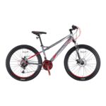 VORTEX 4.0 - 27.5" MTB - 18' - 21 Vites - M.DISC - Mat Füme-Kırmızı/Gri