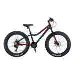 FXC 500 - 20" MTB - 11" - 21 Vites - M.DISC - Mat Siyah-Kırmızı/Mavi #KRN21-587