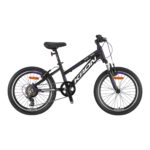 XC75 - 20" MTB LADY - 11 - 7 VİTES - V.B - MAT SİYAH - GRİ/MOR #KRN24-008