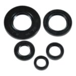 YBR 125 KEÇE TAKIMI OEM #Ç22002