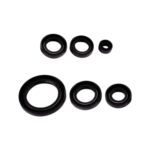 CUP 100 MOTOR KEÇE TAKIMI 6 LI #100587