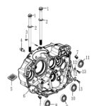 YUKİ GP1 TARO 250CC RACING MOTOR BLOĞU SAĞ (GP-1 TARO 250R)