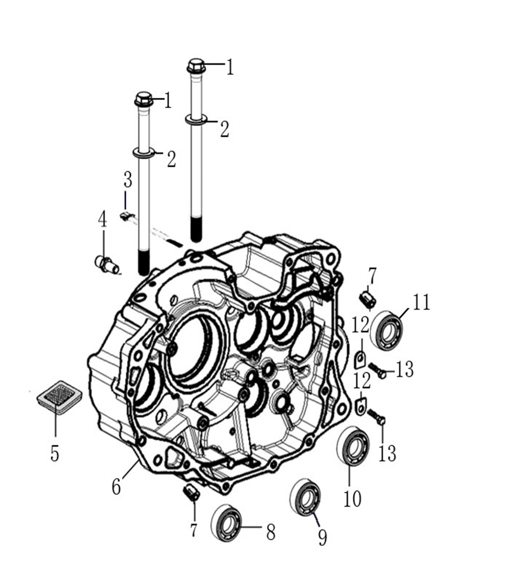 YUKI-100093552-0005-1 YUKİ GP1 TARO 250CC RACING MOTOR BLOĞU SAĞ (GP-1 TARO 250R) - Görsel 1