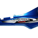 MONDIAL 100 KM SELE ALTI YAN KARENAJ SAG (MAVI)