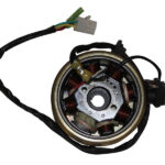 MONDIAL 125 UPM - PIZZA ALTERNATOR KOMPLE