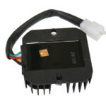 MONDIAL 100 LOYAL REGULATOR