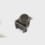 MONDIAL 250 BUFFALO SILINDIR