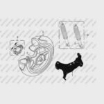 MONDIAL 150 ARGENT ARKA AMORTISOR (SIYAH) (2014)