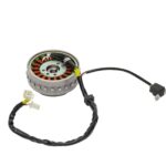 TVS TVS APACHE RTR 200 e4 ALTERNATOR KOMPLE
