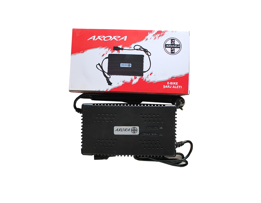 ARORA-E-BIKE.0022_1