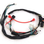 MJ-KUBA-KM18503_1