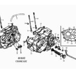 MJ-KUBA-KM29155_1