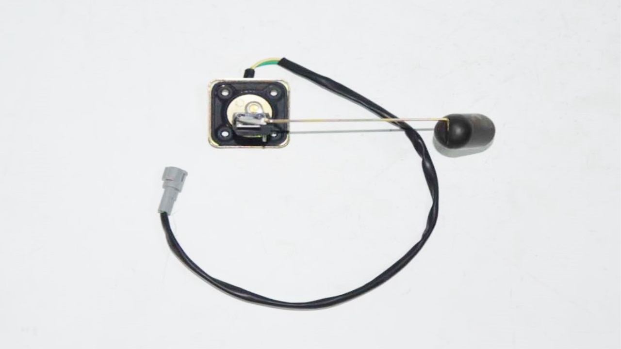 MJ-KUBA-KM31307_1 MJ-KUBA-KM31307_1