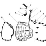 MJ-KUBA-KM41907_1