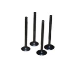 MJ-RKS-RK34795_1