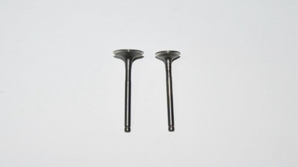 MJ-KUBA-RK10781_1
