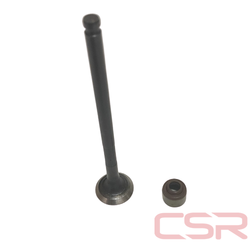 CLK-NMX256_1 CLK-NMX256_1