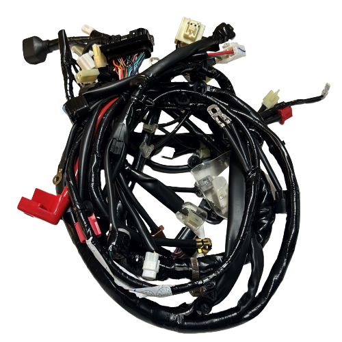 CLK-NMX495_1 CLK-NMX495_1