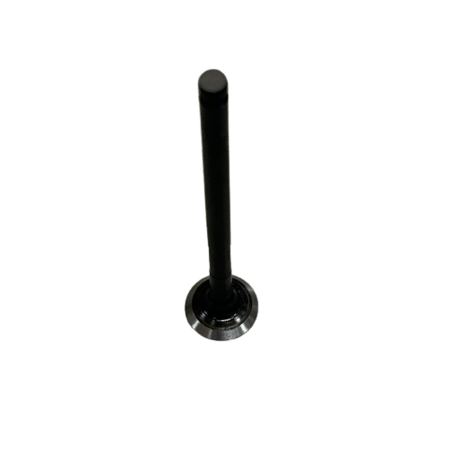 CLK-NMX557_1 CLK-NMX557_1