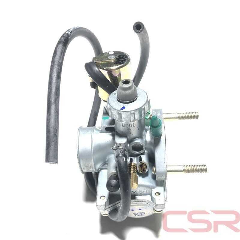CLK-PEP166_1 CLK-PEP166_1
