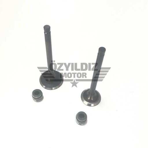 CLK-PEP304_1 CLK-PEP304_1