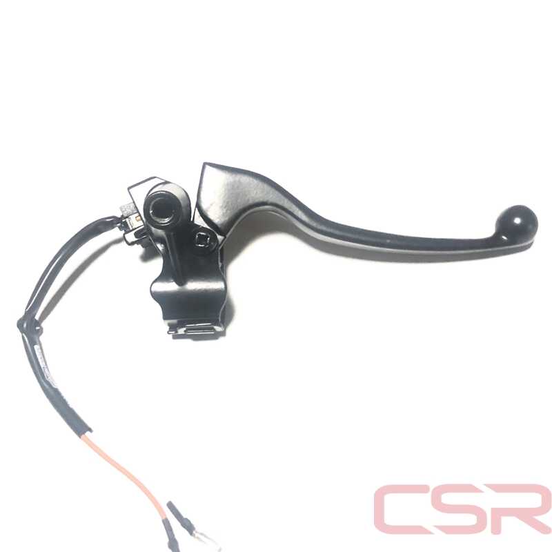 CLK-PEP349_1 CLK-PEP349_1