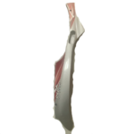 CLK-PEP395_1
