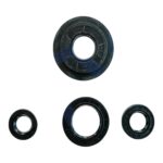 ACTİVA 100 KEÇE TAKIMI OEM #Ç22004
