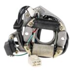 STATÖR 2''Lİ KANUNİ ZEBRA #24012