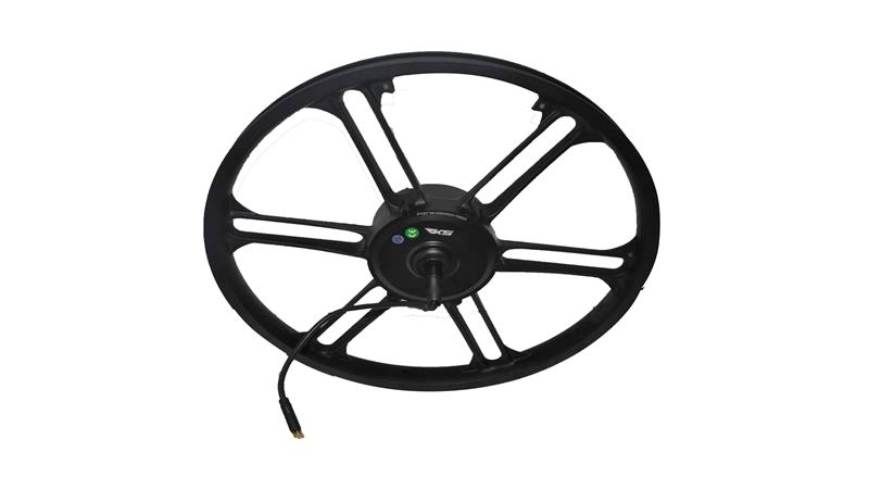 MJ-RKS-RK21358_1 MJ-RKS-RK21358_1