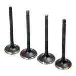 RKS R250, SUBAP TAKIMI 4LÜ #232-R250G500145